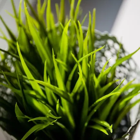 Krolewska Apartamento Cracovia