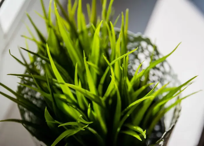 Krolewska Apartament Kraków